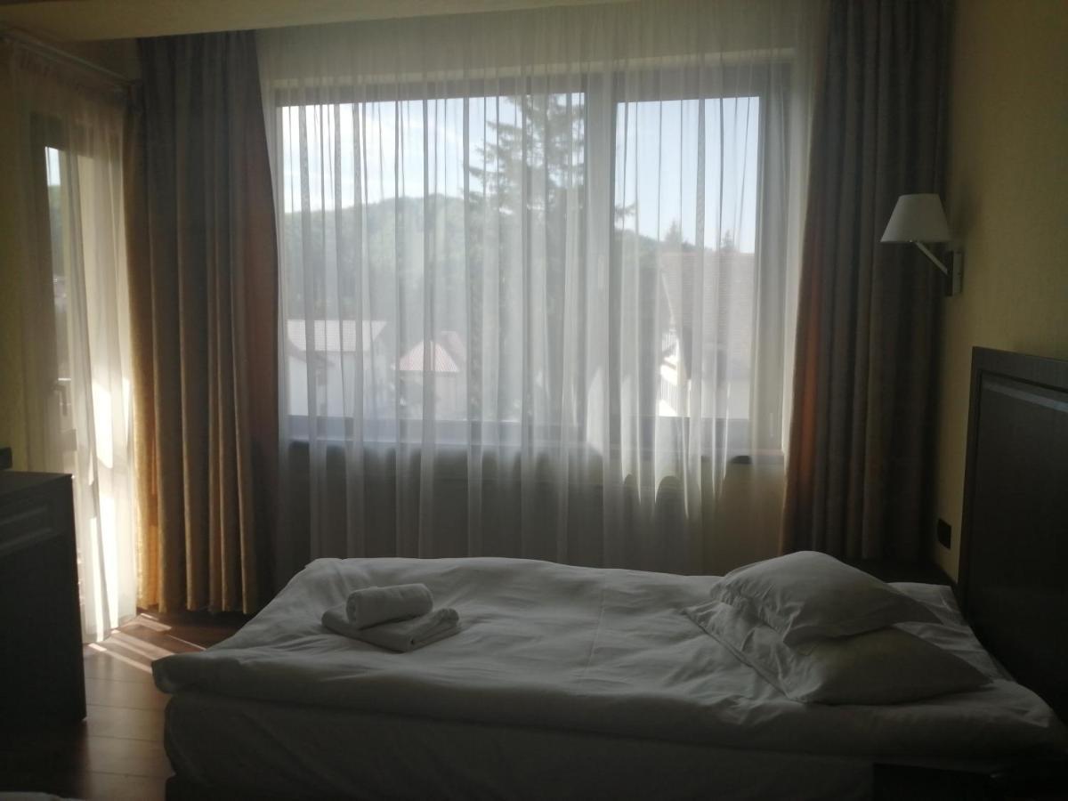 Hotel Piemonte Predeal Exterior photo